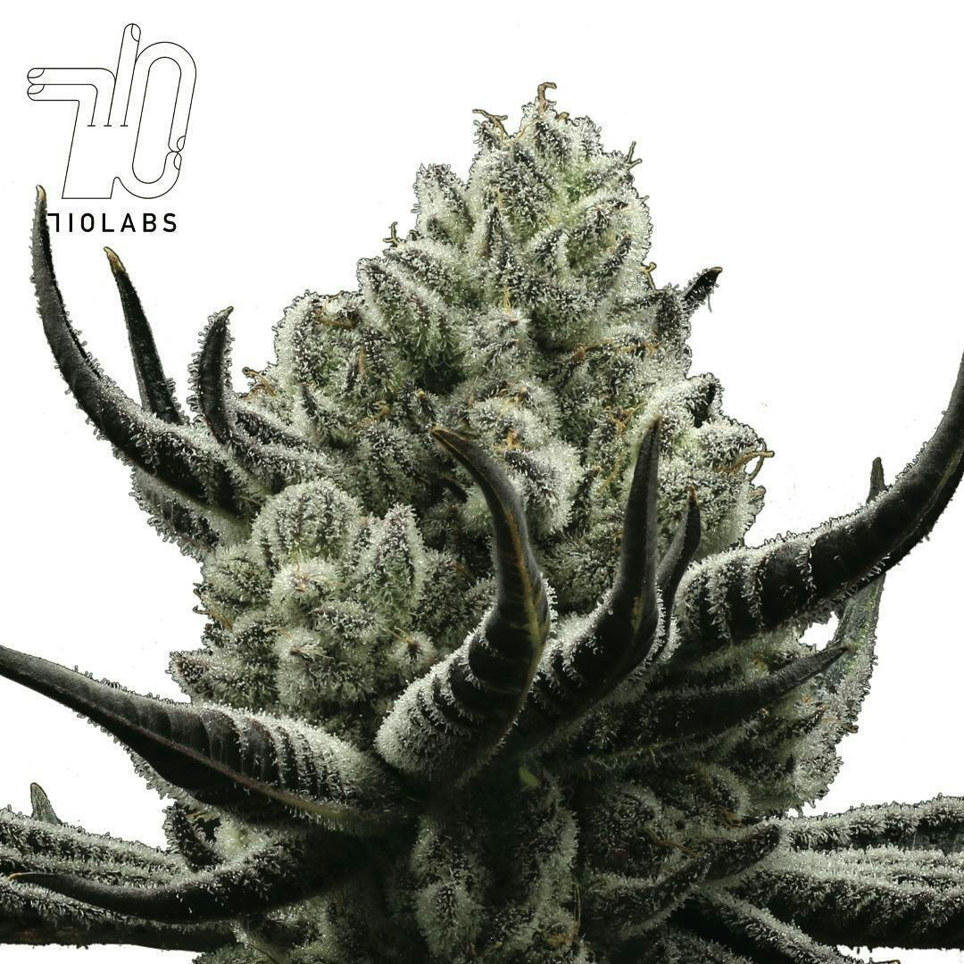 Cake Crashers - 7g Flower