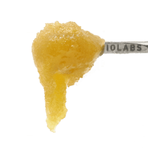 Bad Apple #7 Persy Sauce