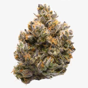 Lemon Tart Pucker Flower 3.5g