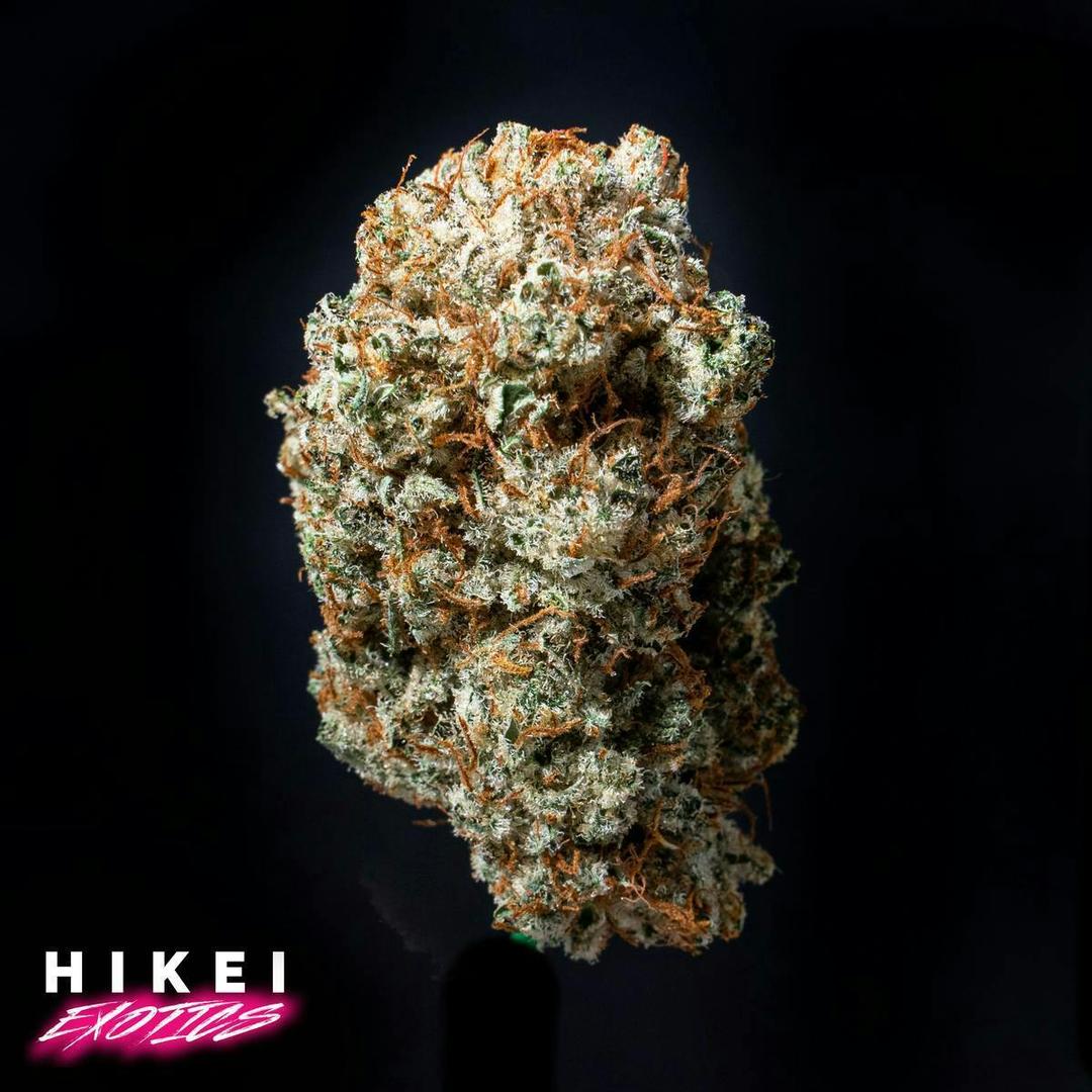 Apples & Bananas Half Zip 14g