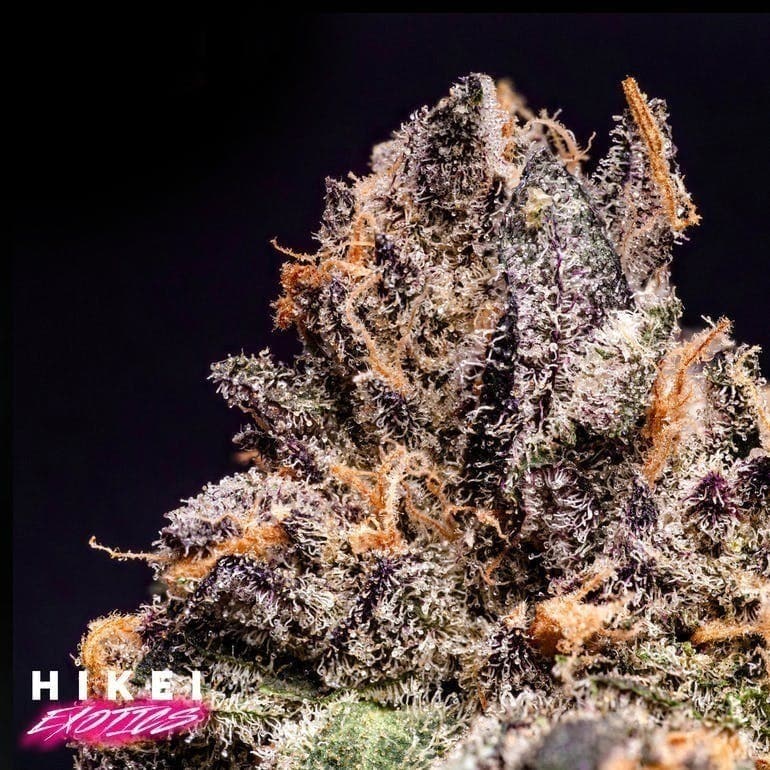Blue Berries Zip 28g