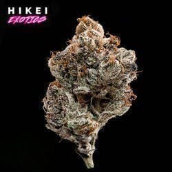 Cereal Killa Zip 28g