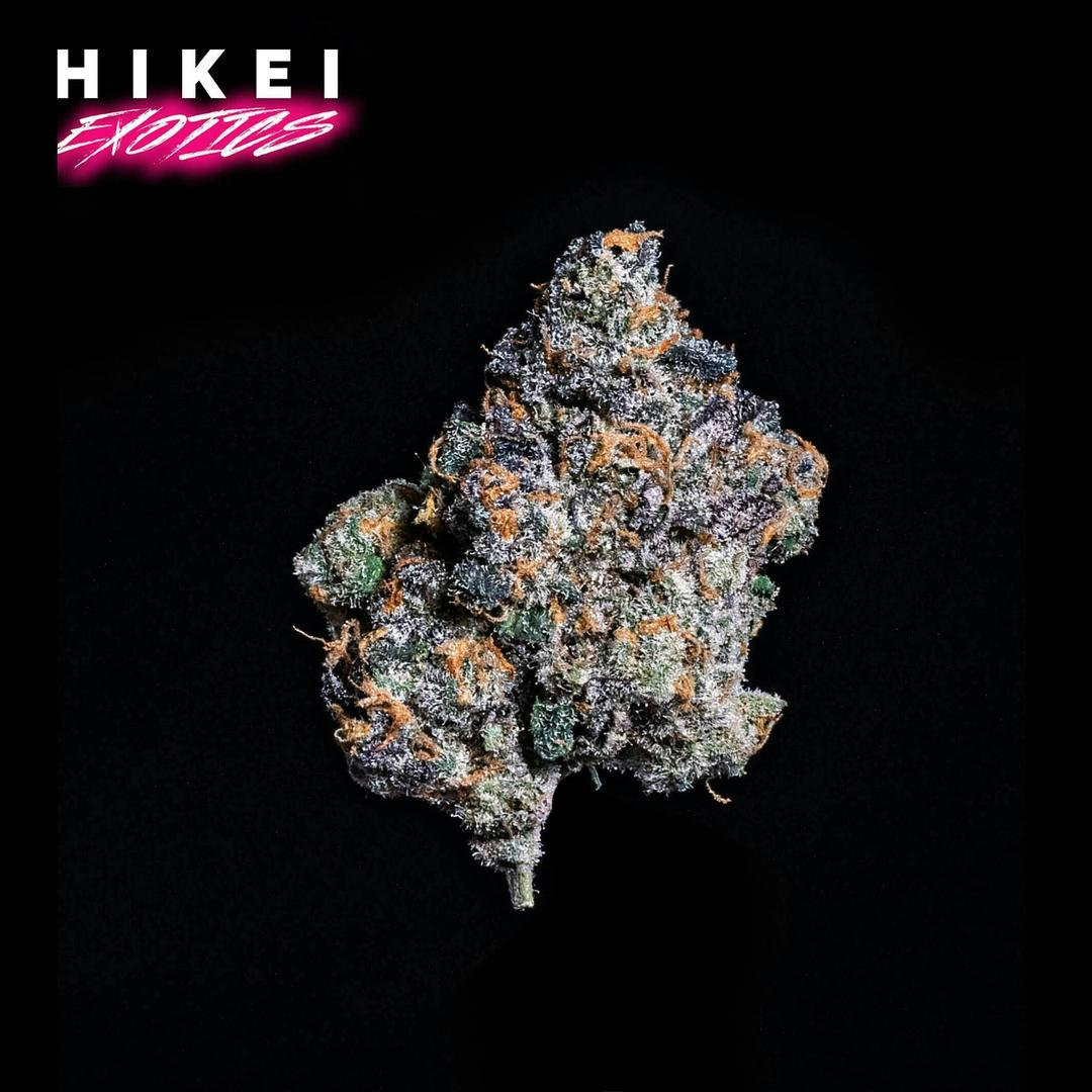 Double Baked Biscotti Eightr 3.5g