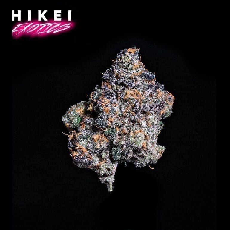 Double Baked Biscotti Zip 28g