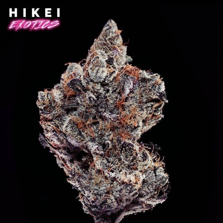 Garlic Gum Drops Half Zip 14g