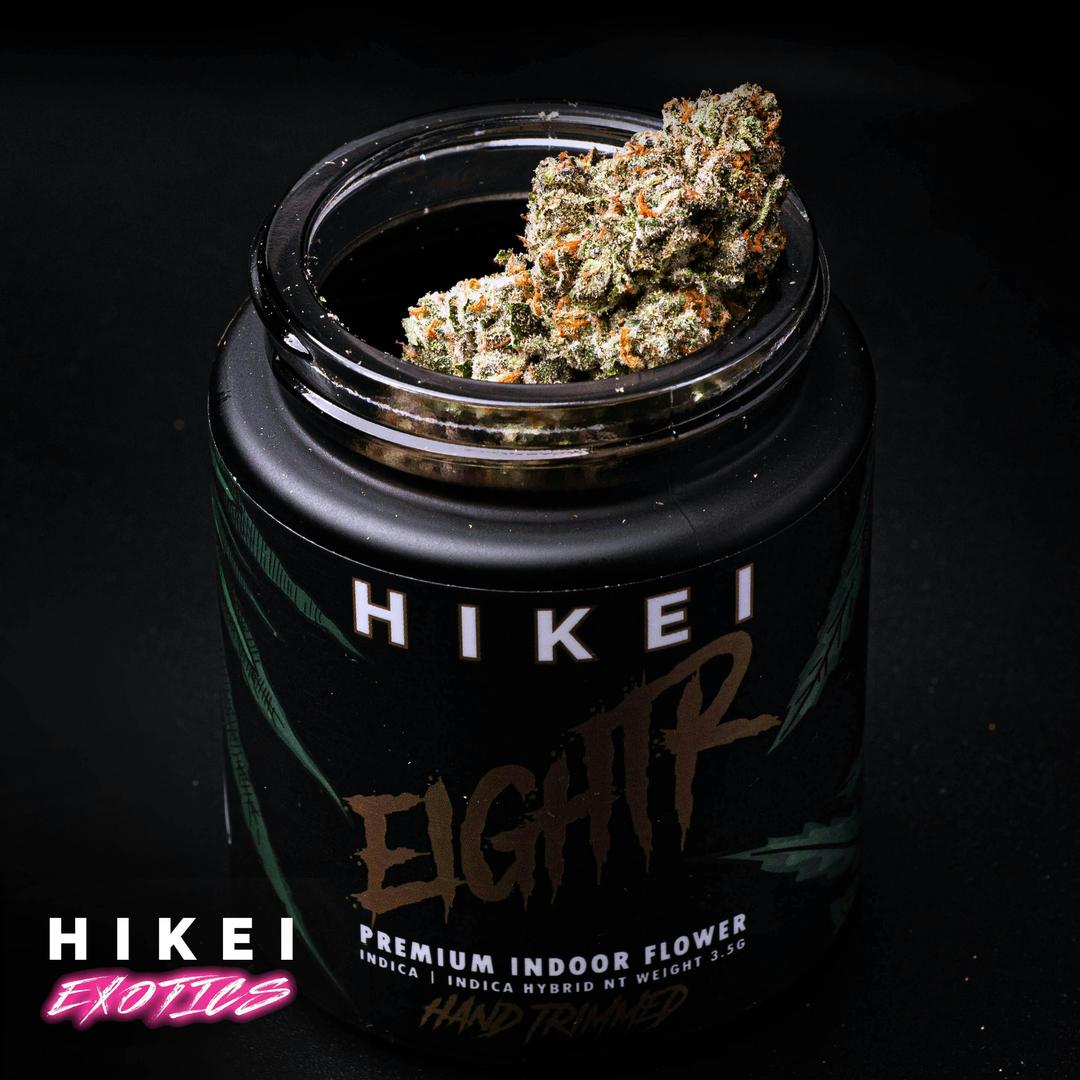 Gelato x Animal Mintz Eightr 3.5
