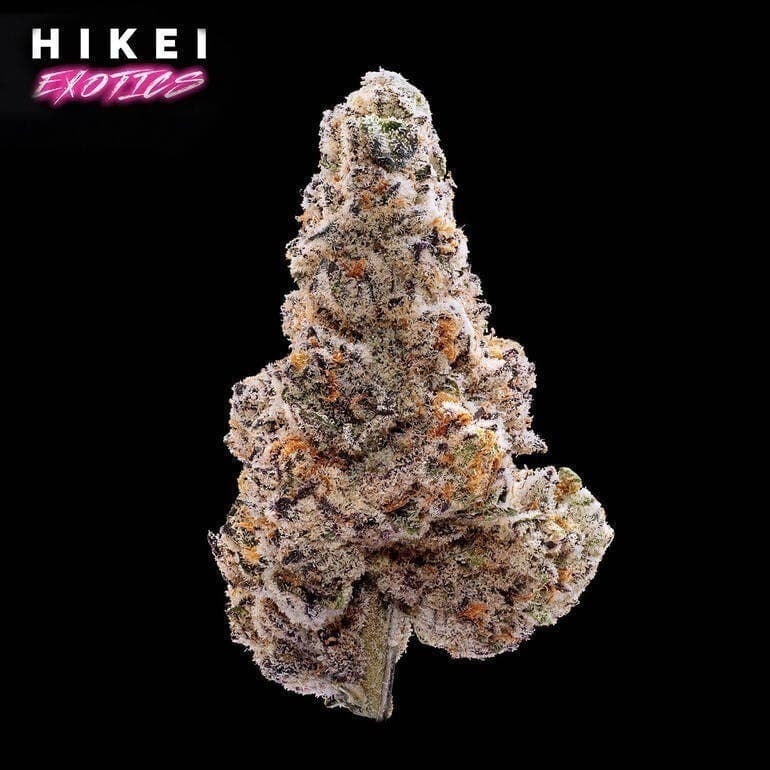 Jealousy X Kush Mintz Zip 28g