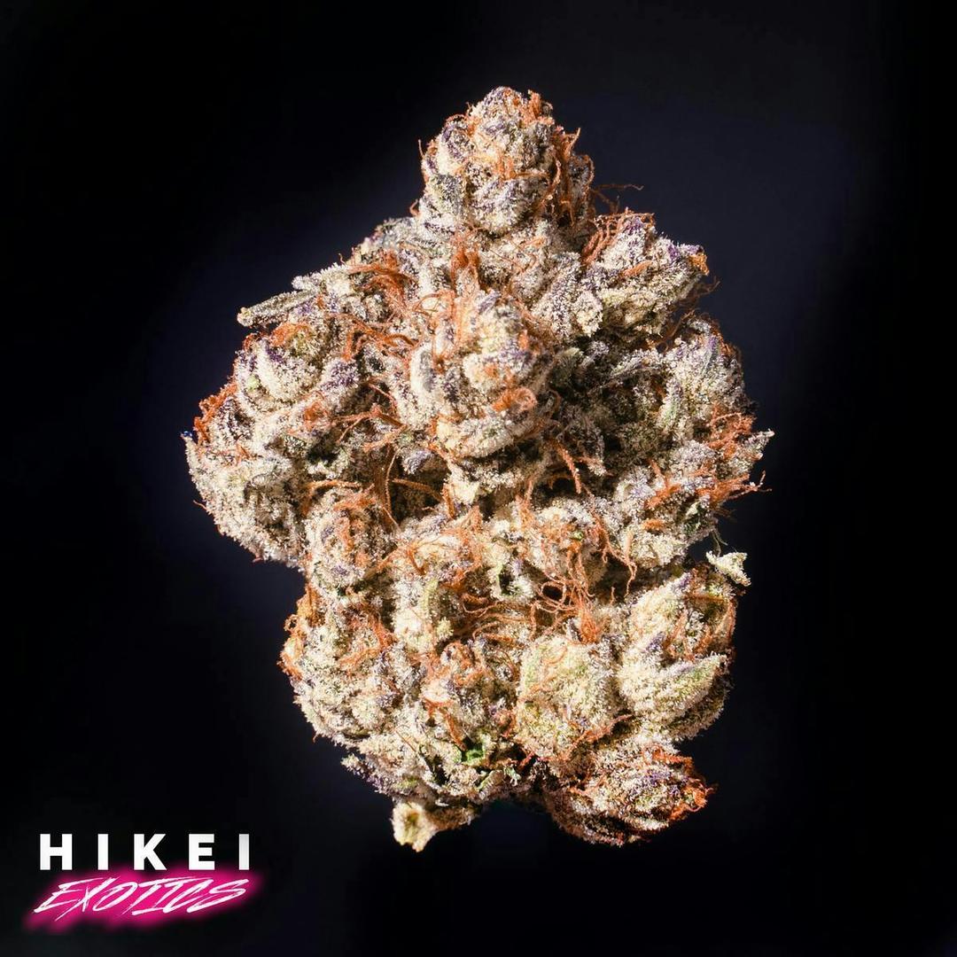 Julius Caesar 3.5g Eightr