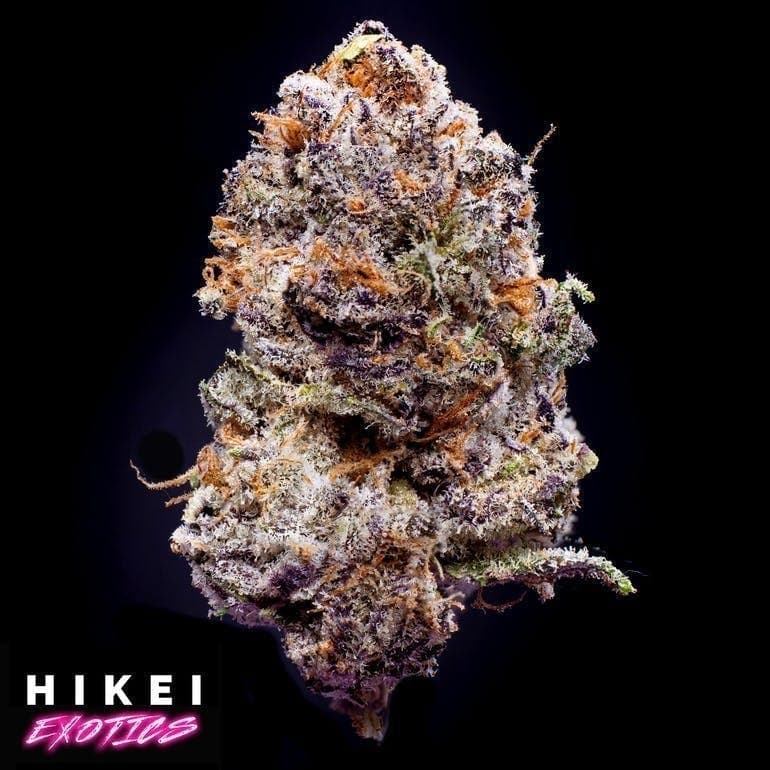 Sundae Driver Zip 28g