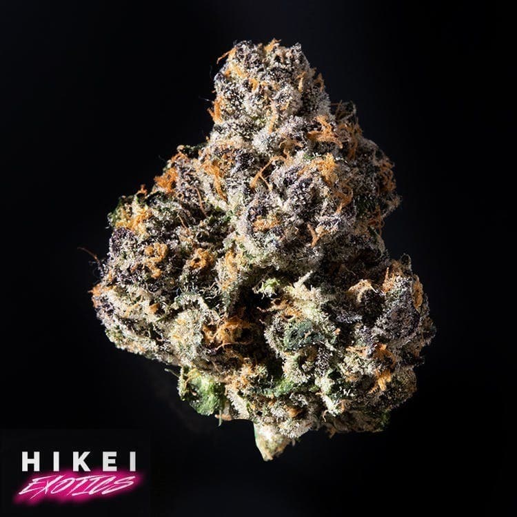 Sunset Sorbet Eightr 3.5G