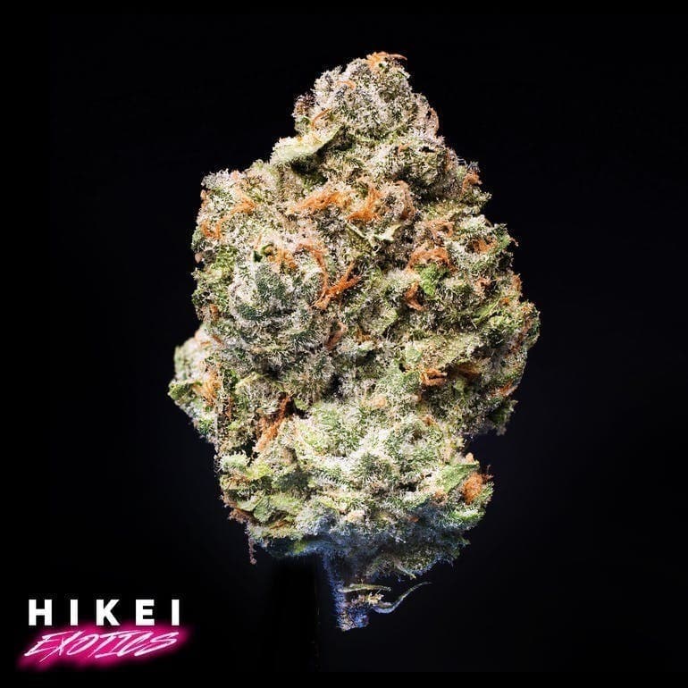The Cake Zip 28g