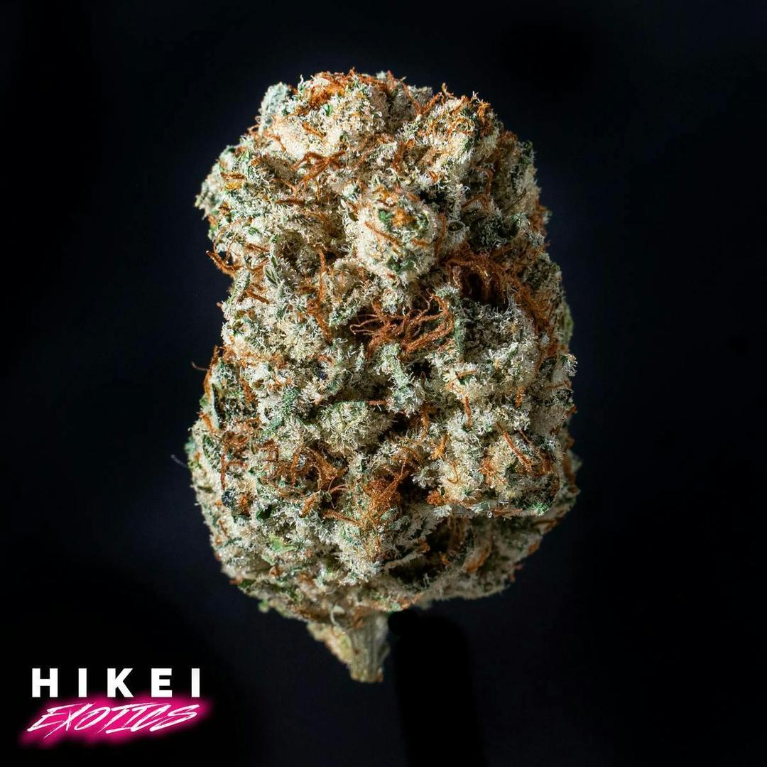 Truth OG Zip 28g