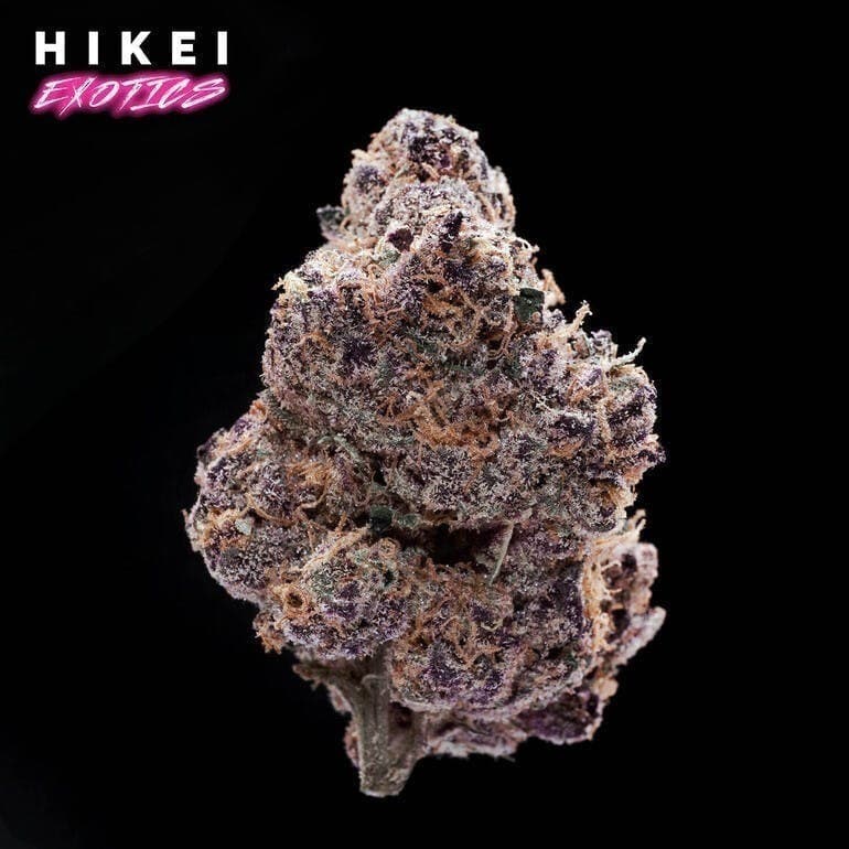 Ya Purp Zip 28g