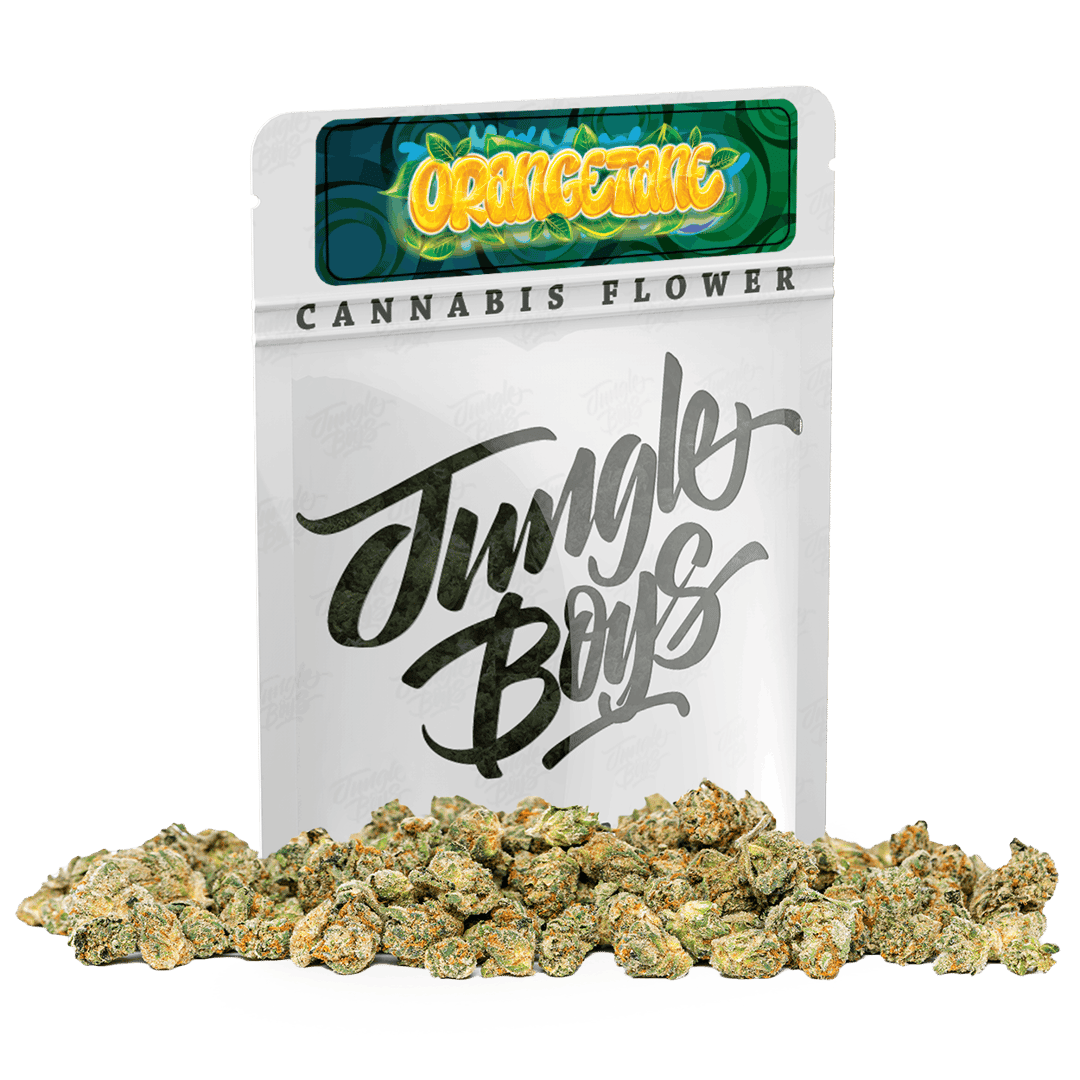 Jungle Boys | Orangetane - 10g Smalls