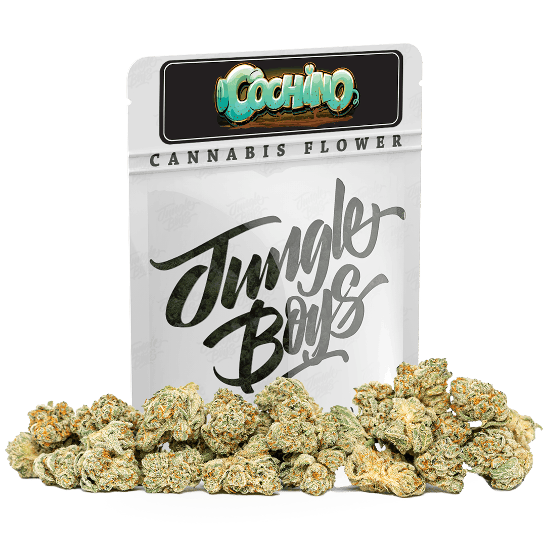 Jungle Boys | Cochino - 10g Smalls