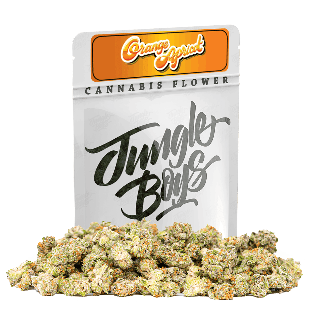 Jungle Boys | Orange Apricot - 10g Smalls
