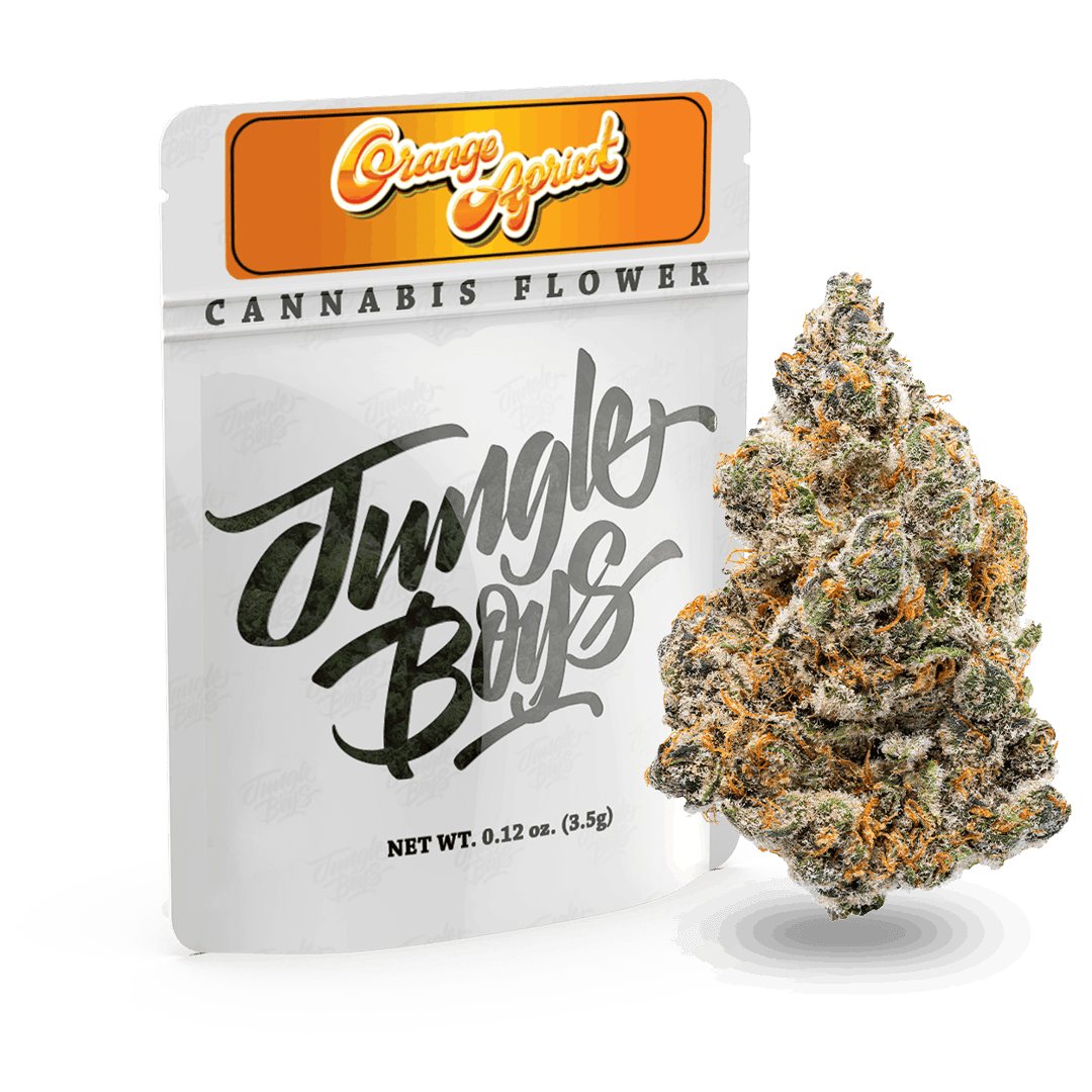 Jungle Boys | Orange Apricot - 3.5g Mylar