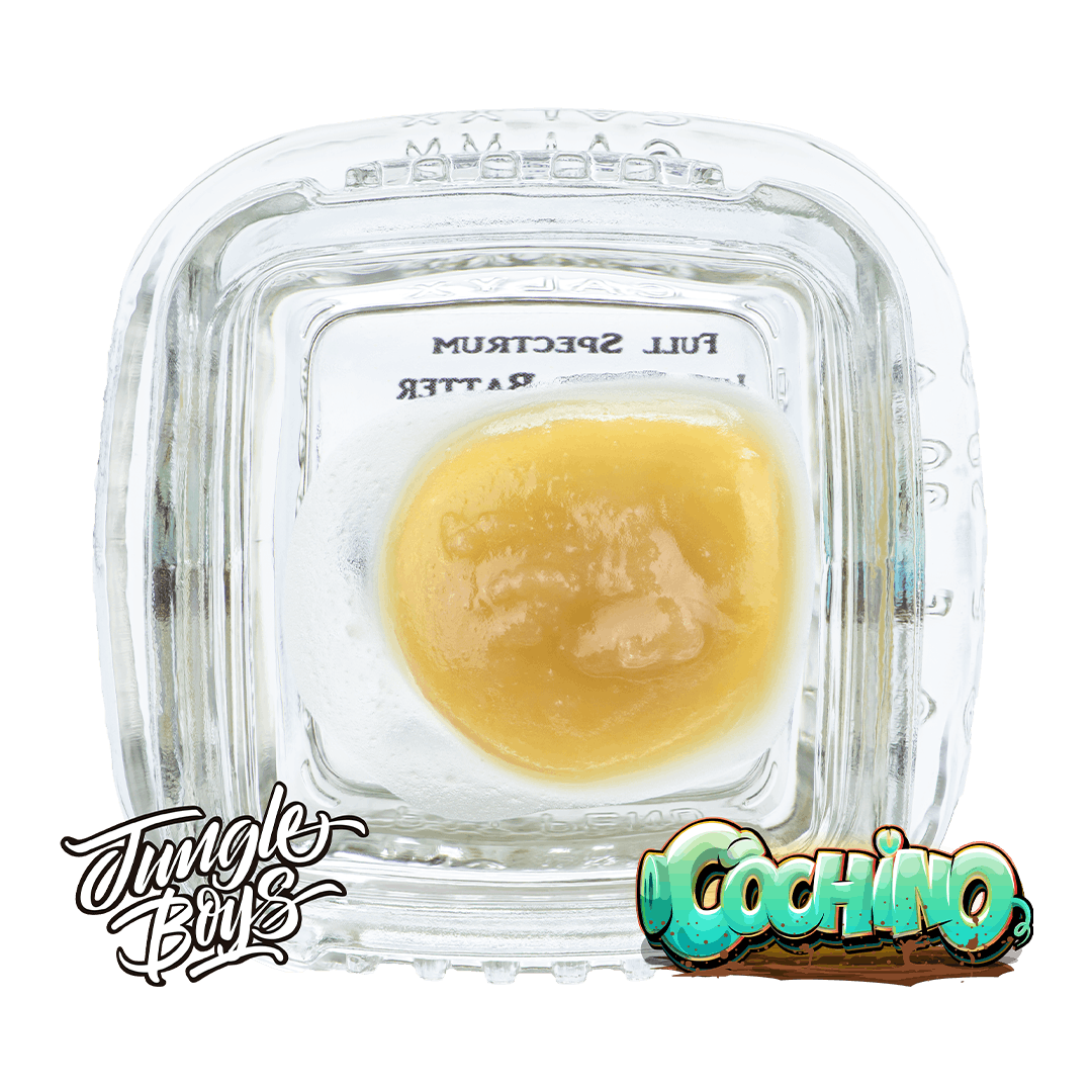 Jungle Boys | Cochino - 1g Full Spectrum Live Rosin Batter
