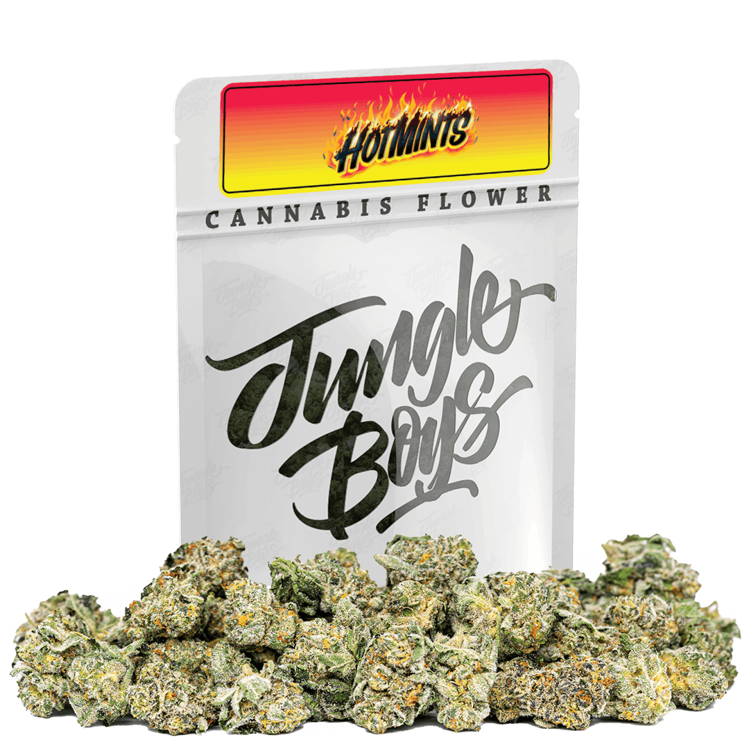 Jungle Boys | Hot Mints - 10g Smalls