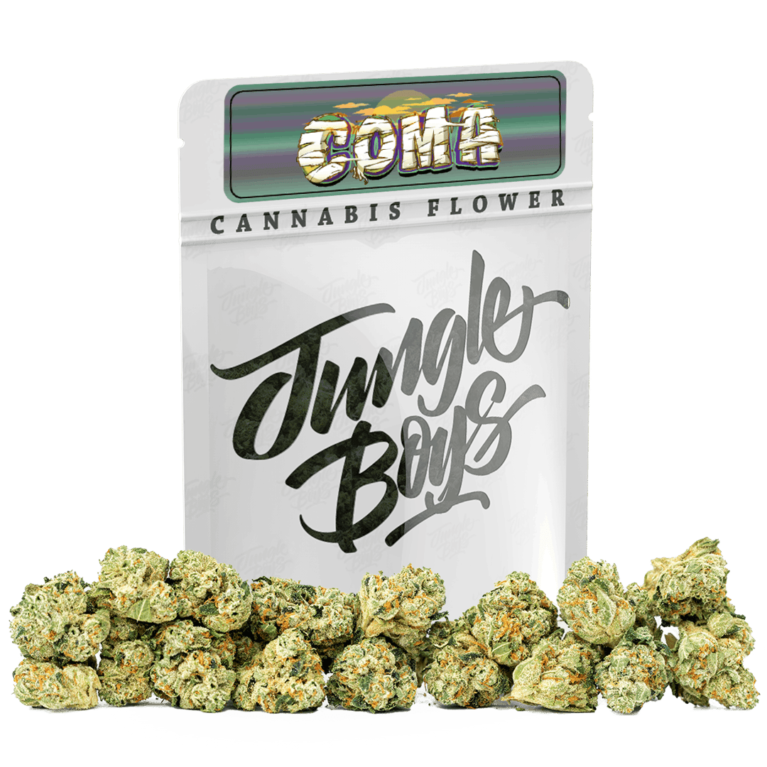 Jungle Boys | Coma - 10g Smalls