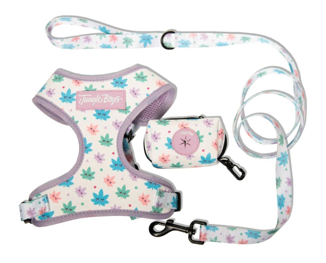 Jungle Boys Clothing | Dog Harness Set (Happy Leaf)