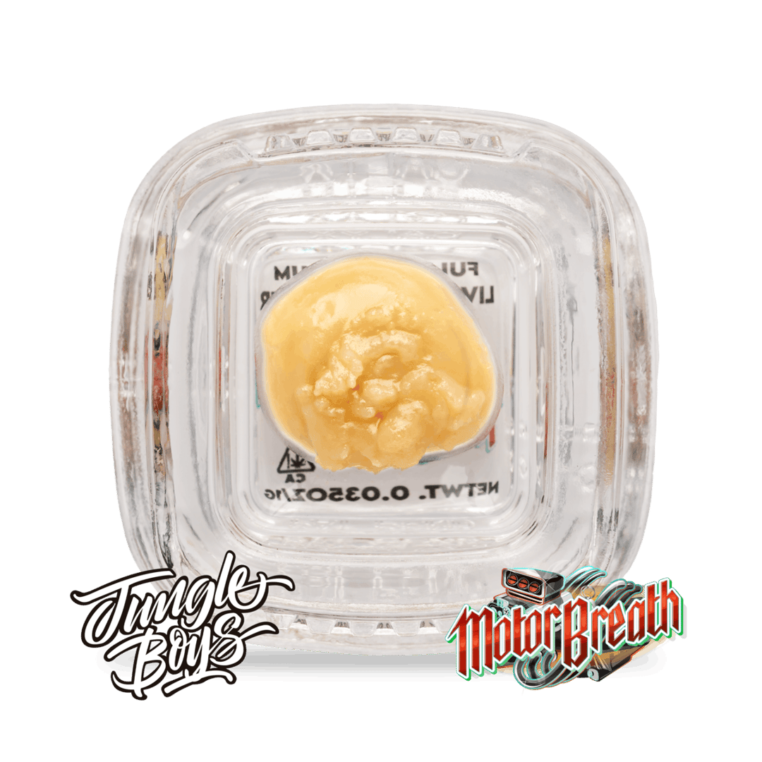 Jungle Boys | Motor Breath - .5g Full Spectrum Live Rosin Batter