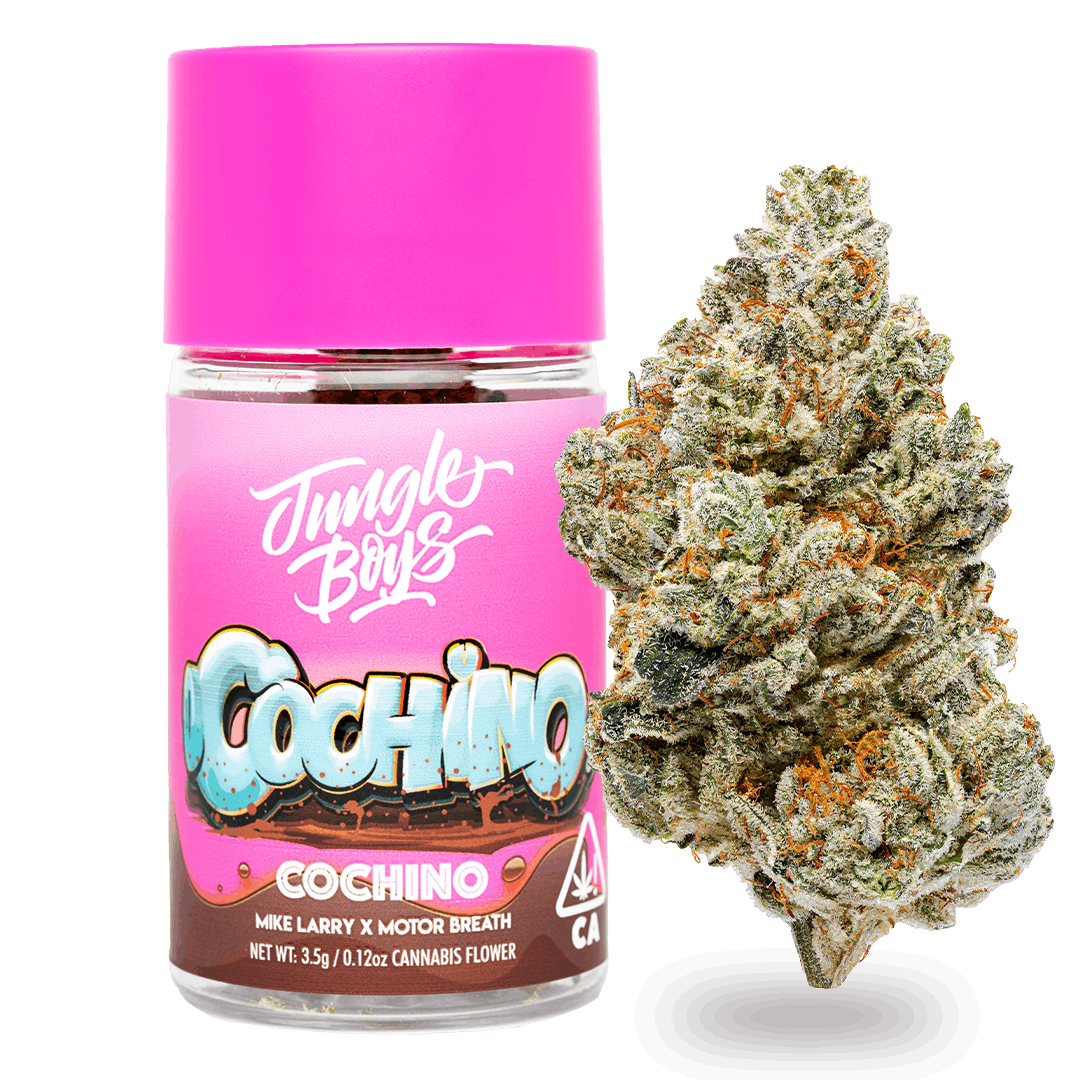 Jungle Boys | Cochino - 3.5g Flower Jar