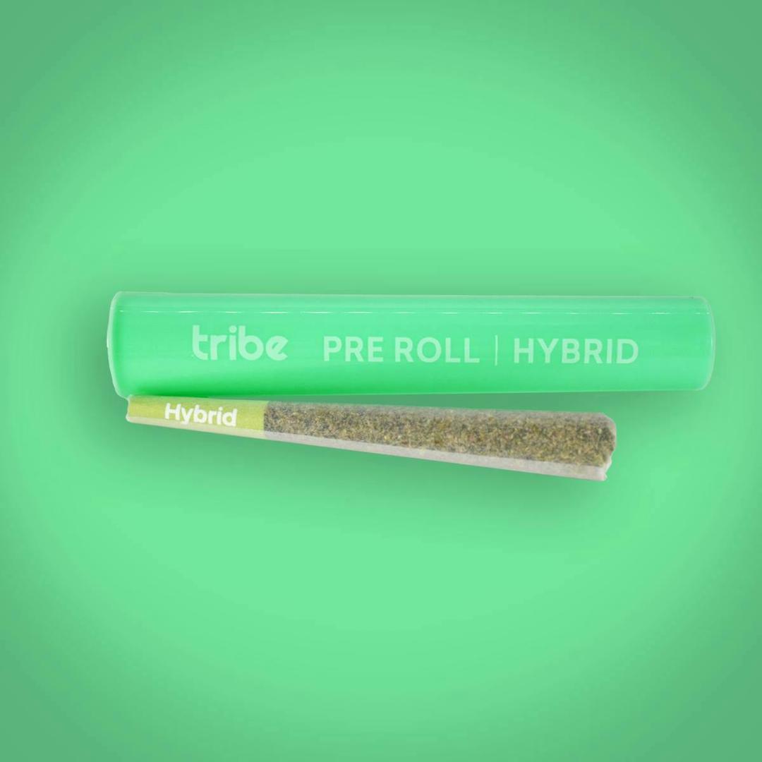 Blueberry Runtz - Hybrid - Flower Pre Roll - 1g