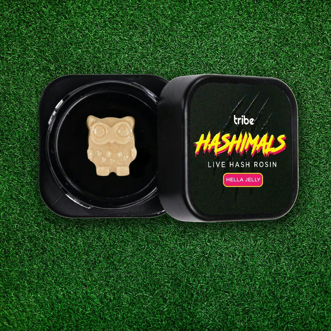 Hashimal - Owl - 1 Gram