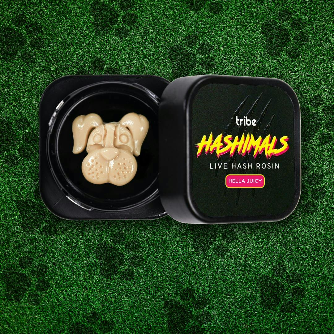 Hashimals - Boxer - 1g