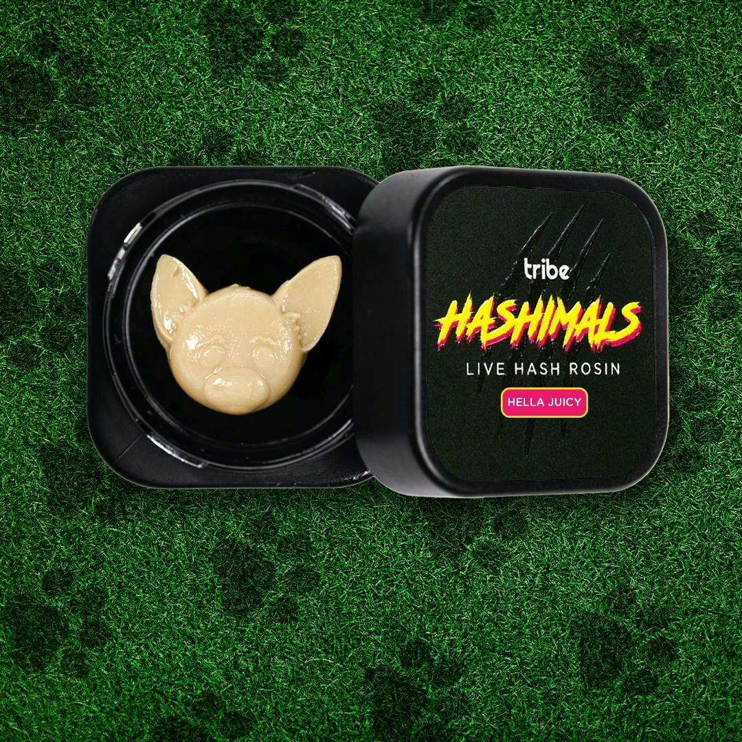 Hashimals - Chihuahua - 1g