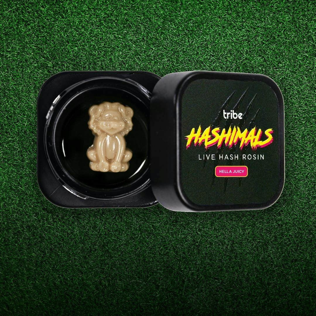 Hashimals - Lion - 1.5 Grams