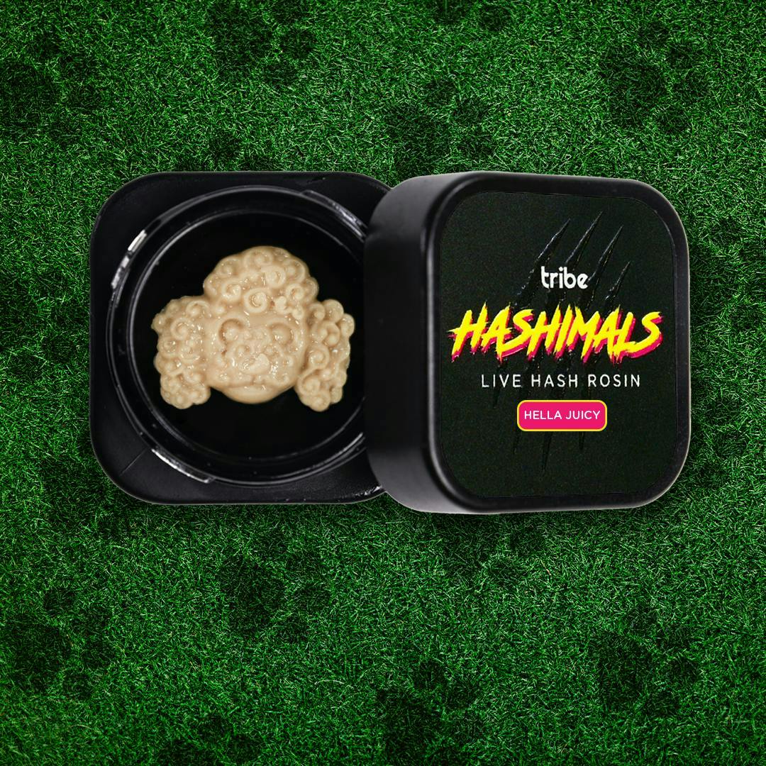 Hashimals - Poodle - 1g