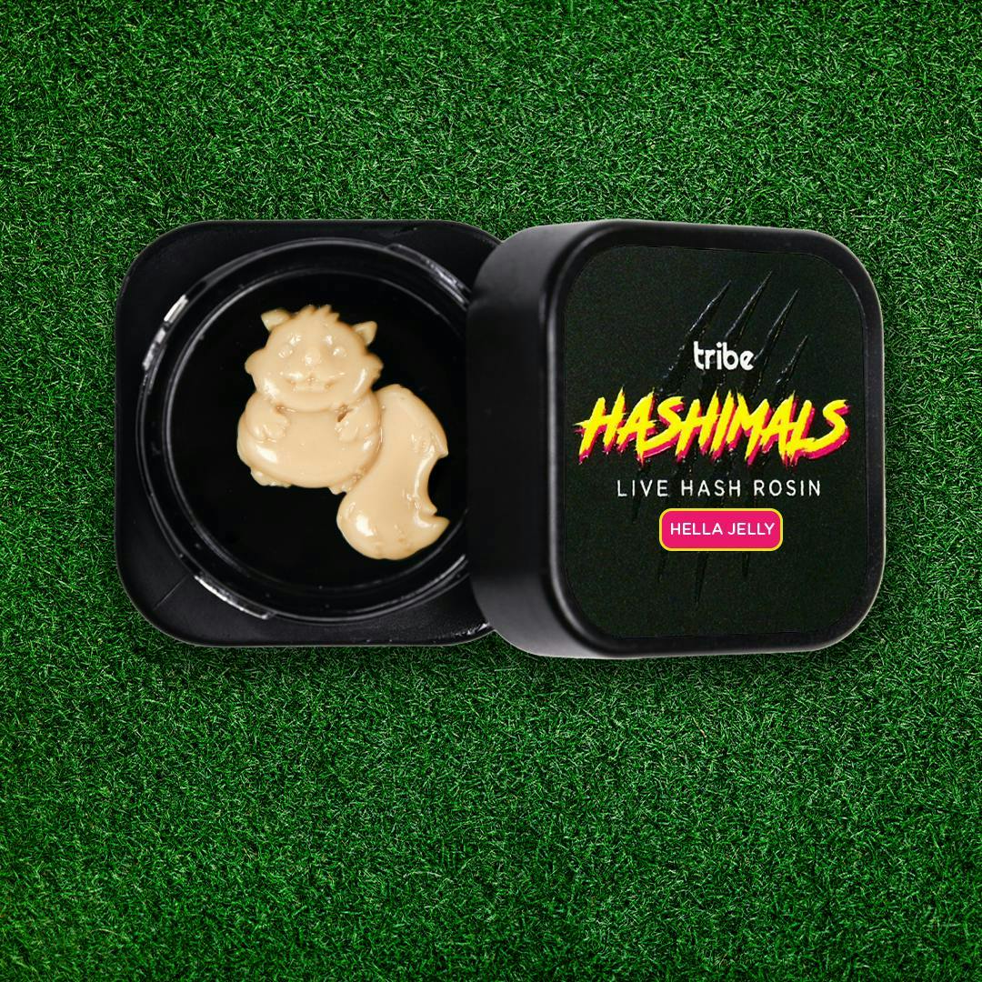 Hashimals - Squirrel - 1g