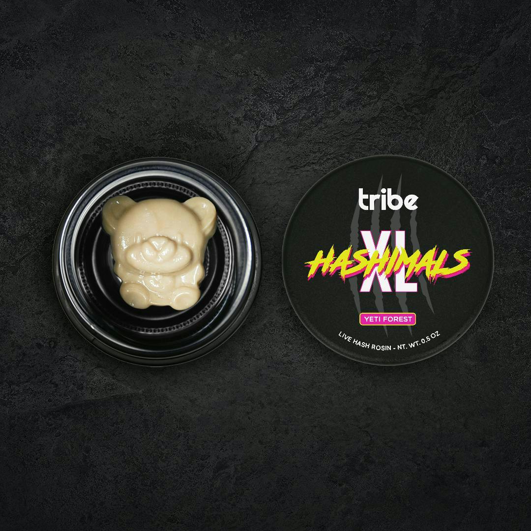 Hashimals XL - Bear - 5 Grams