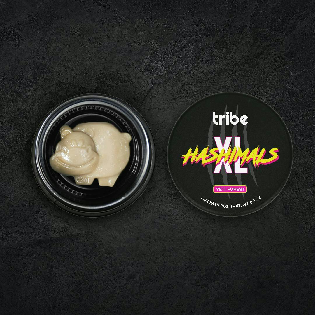 Hashimals XL - Hippo - 5 Grams