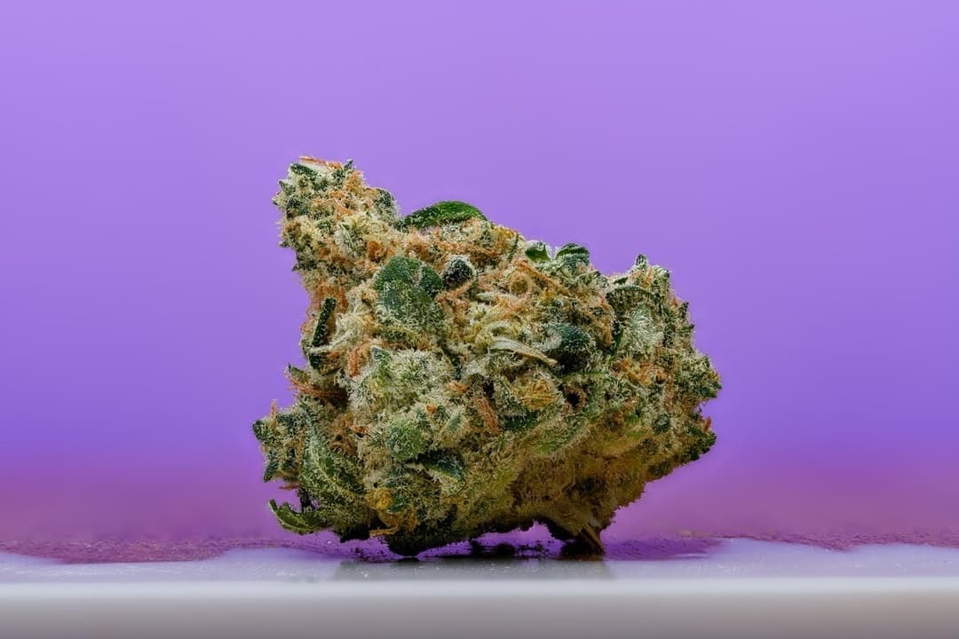 Chasca Flower 14g