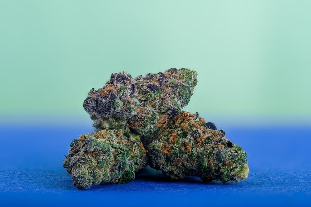 Blue Blockers Flower 14g
