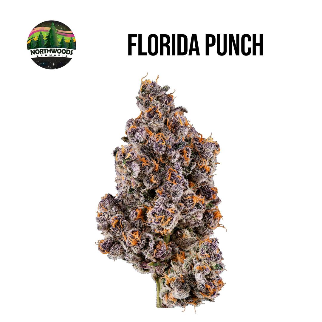Florida Punch Flower