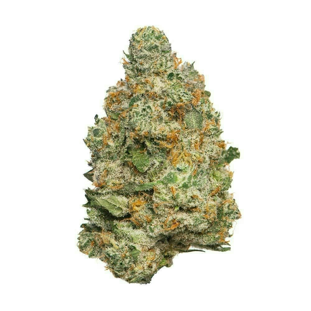 Proper Cannabis - Apple Fritter | 1g