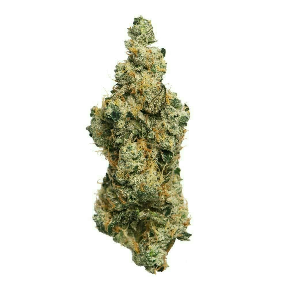 Proper Cannabis - GMO Cookies | 14g