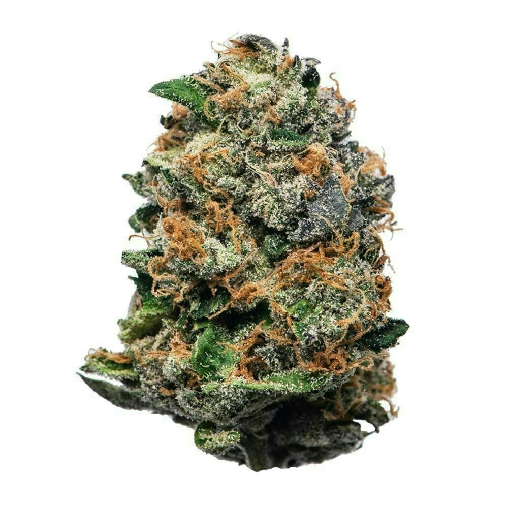 Proper Cannabis - Jigglers | 1g