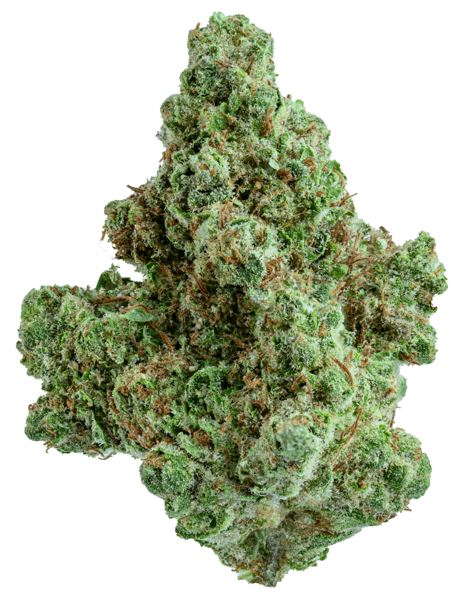 GOLD STANDARD | BERRY PIE | 28G | SATIVA |