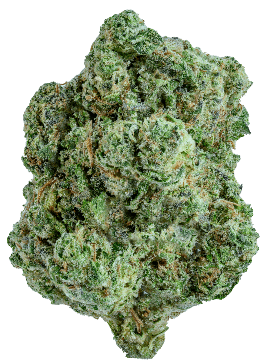 GOLD STANDARD | ASTRO MINTZ | 14G