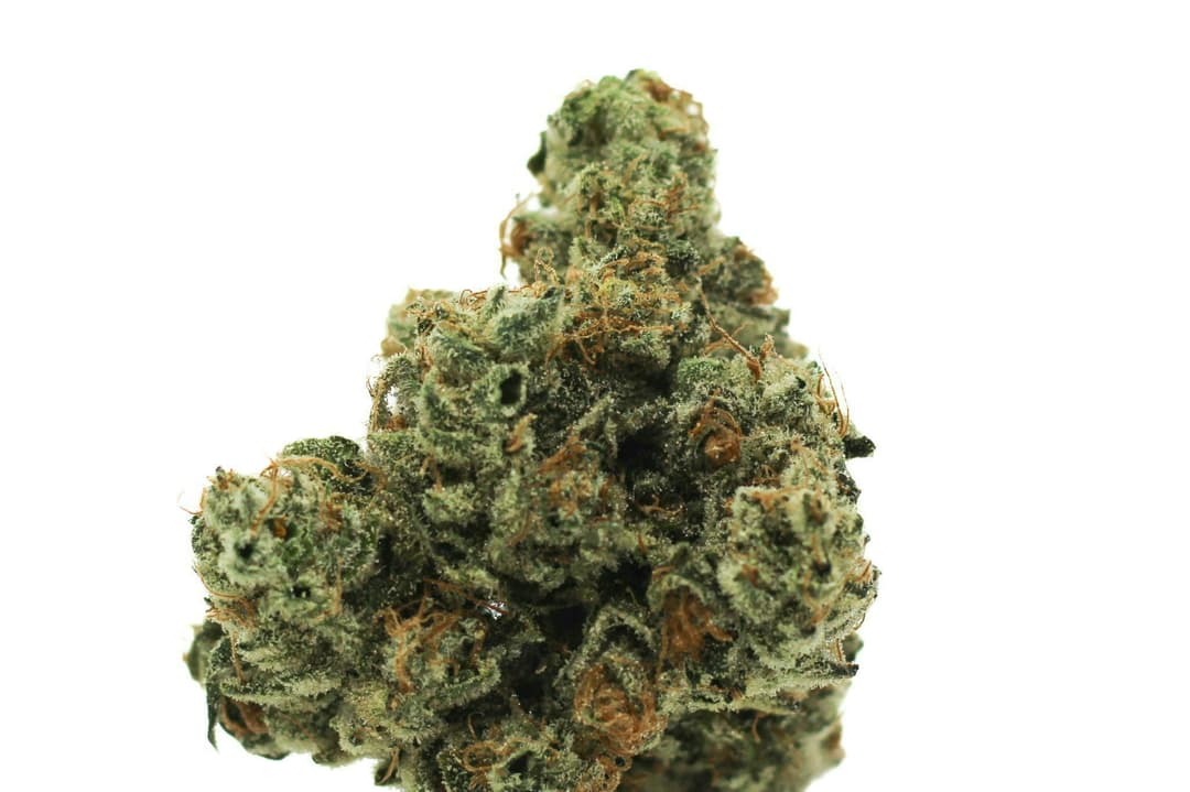 Rugged Roots - Papaya Fuel 3.5g Flower