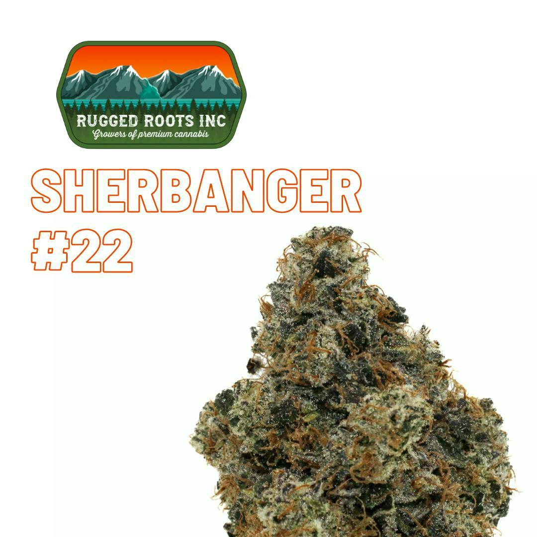 Rugged Roots - Sherbanger #22 3.5g Smalls Flower