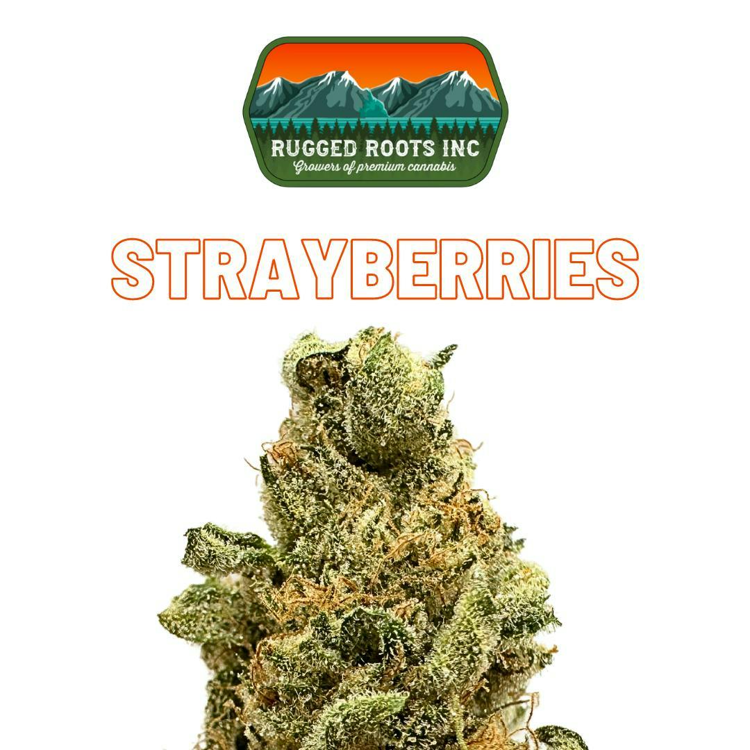 Rugged Roots - Strayberries 3.5g Flower