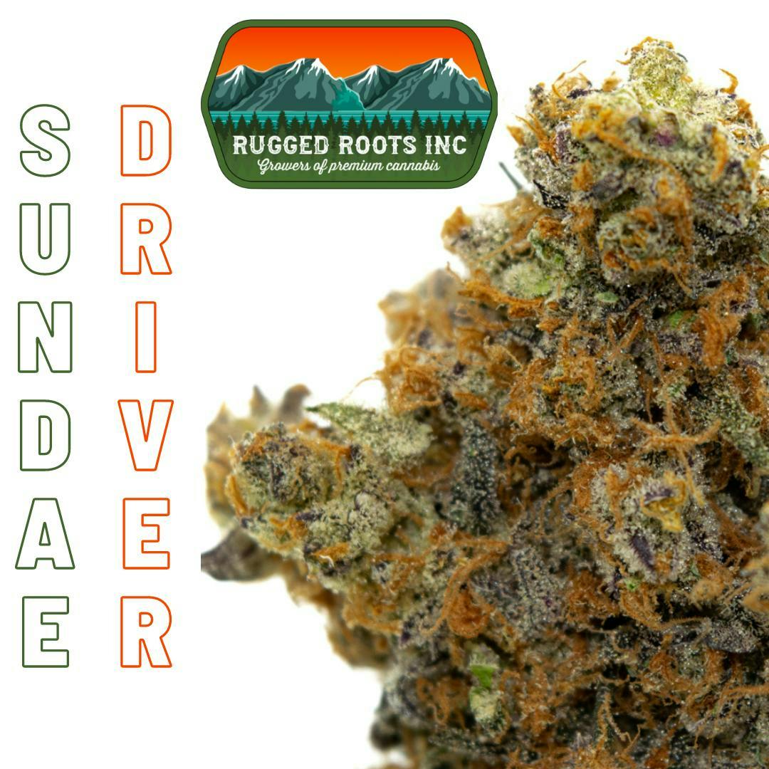 Rugged Roots - Sundae Driver 3.5g Smalls Flower