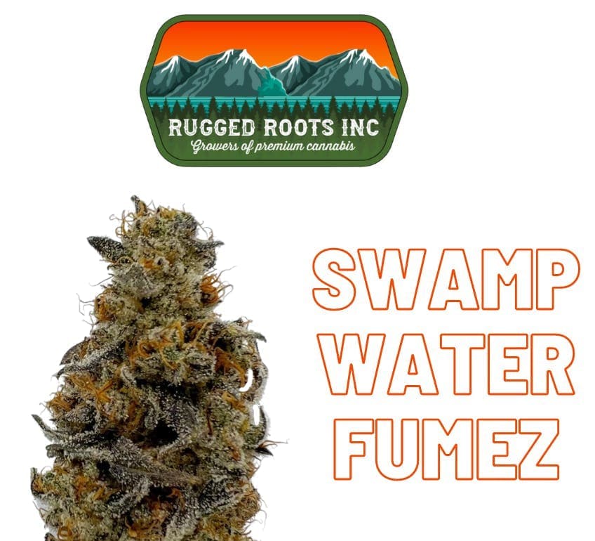 Rugged Roots - Swamp Water Fumez 3.5g Smalls Flower