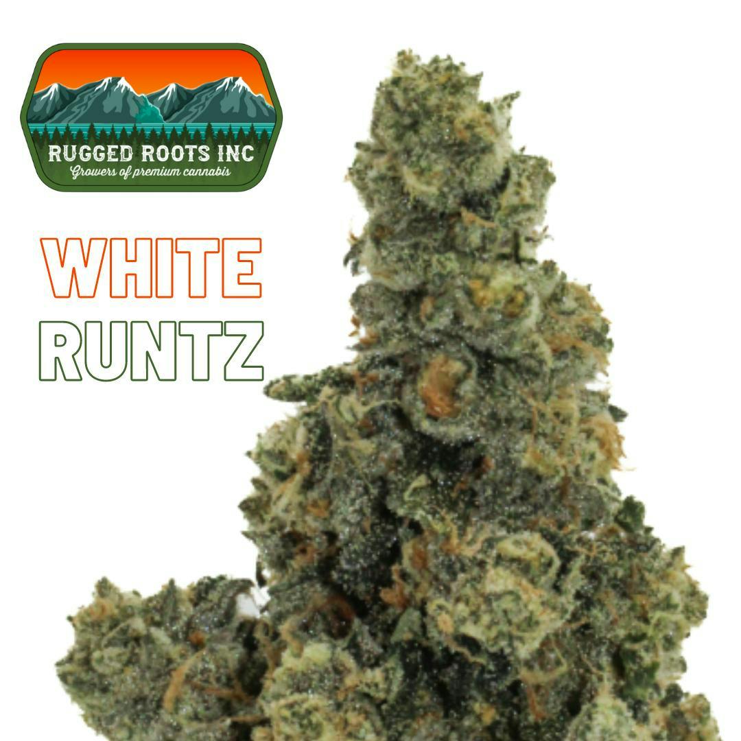 Rugged Roots - White Runtz 3.5g Flower
